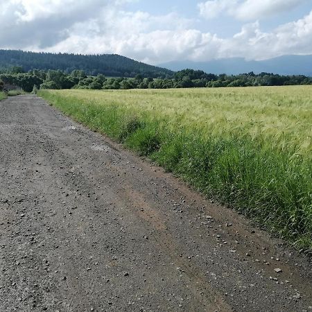 Domki Sowi Kamien Lomnica  Εξωτερικό φωτογραφία